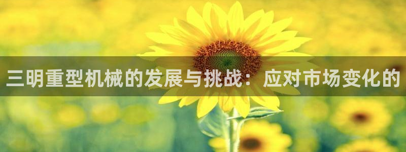 龙八国际菲律宾官网