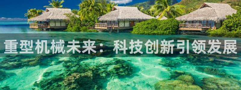 龙八国际黑不黑