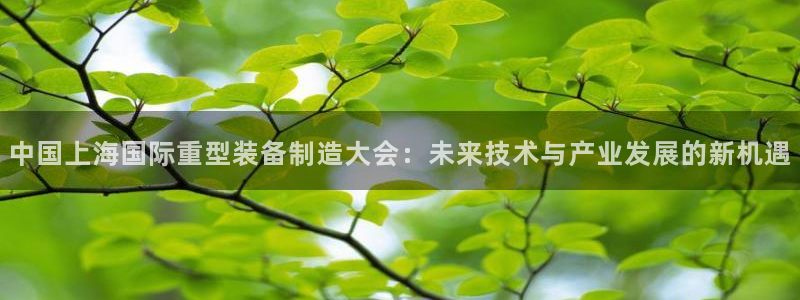 龙八国际城