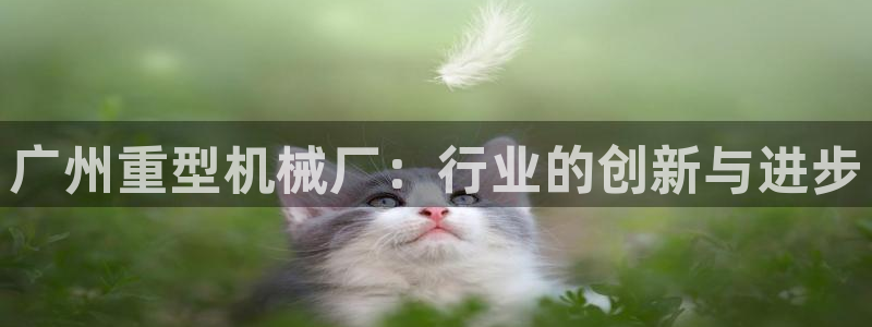 龙八国际视频入口