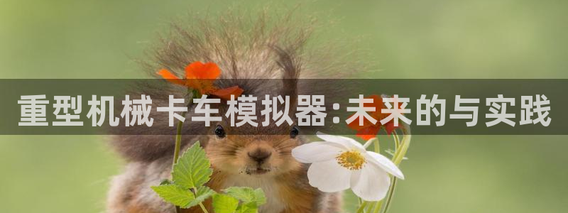 龙八国际官方网站手机版