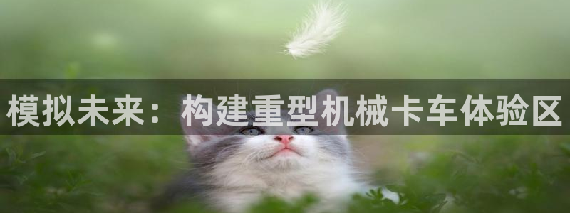 龙八国际图片