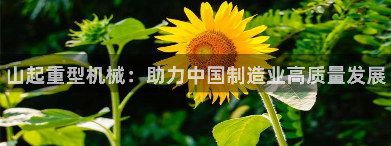 龙八国际苹果下载地址