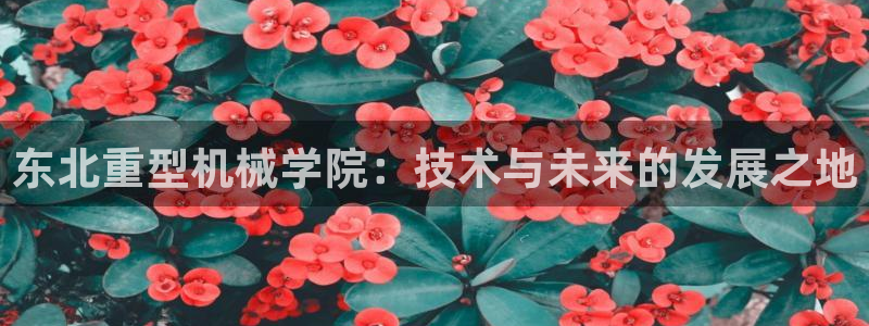 龙八国际手机下载地址