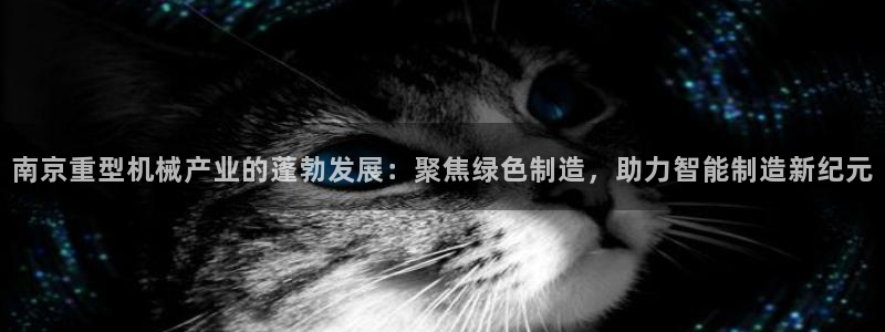 龙八国际网q18点tv