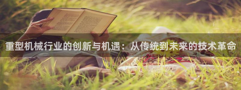 龙八国际不管吗