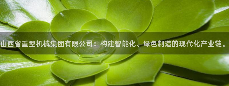 天津龙八国际
