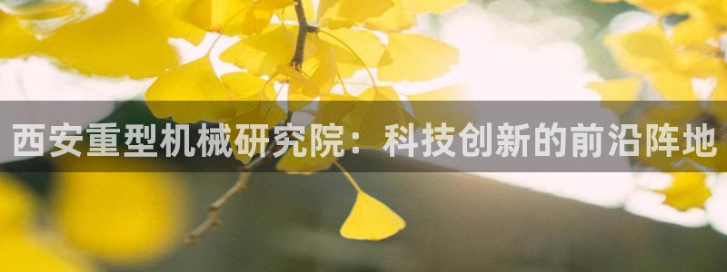 龙八国际 我的