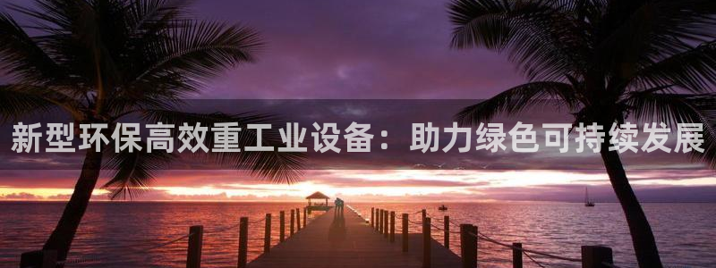 龙八国际是干什么的
