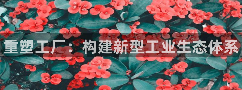龙八国际优惠券