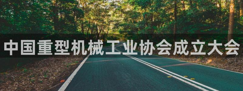 菲律宾龙八国际杀猪