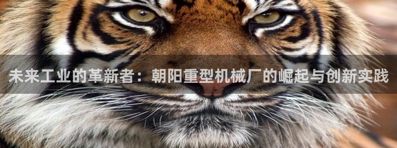 龙八国际官网
