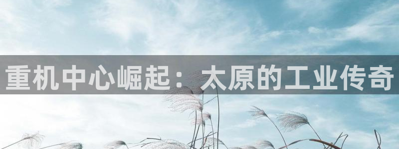 龙八国际娱乐群