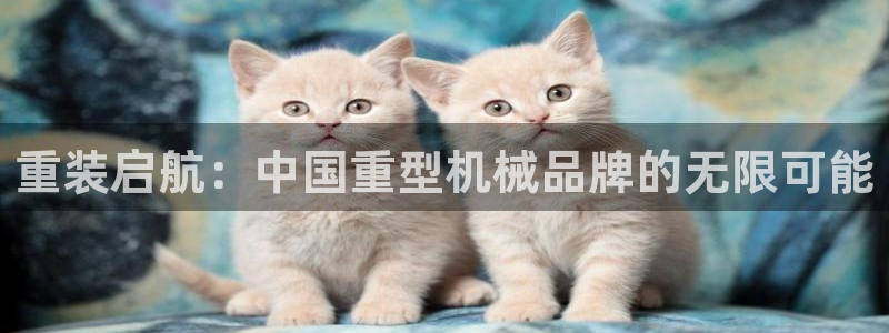 龙八国际改名