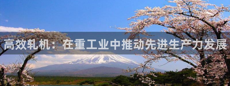 龙八国际客服