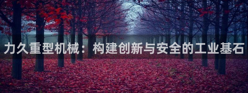 龙八国际p