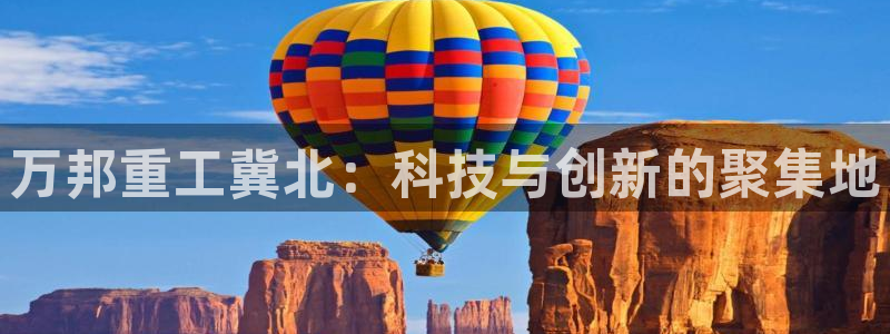 龙八国际集团