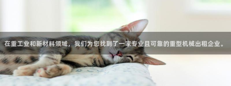 龙八国际app下载安卓