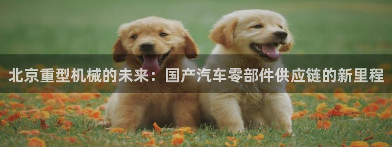 龙八国际娱乐官网app