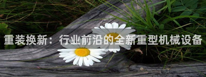 龙八国际平台手机版下载