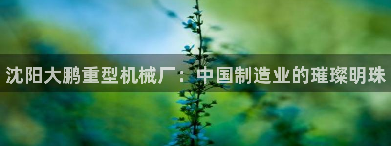 龙八国际可以京东充值吗