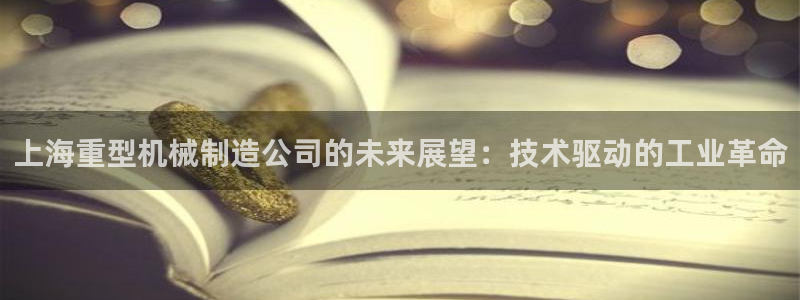 龙八国际贸易有限公司