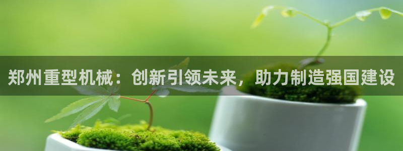 天津龙八国际