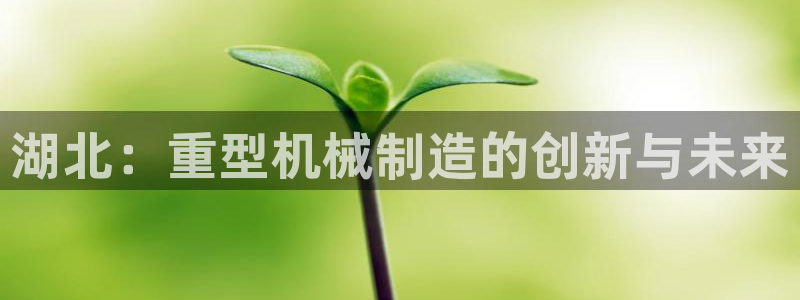 龙八国际代理app