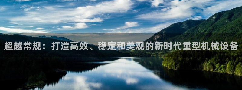 项目名称龙八国际