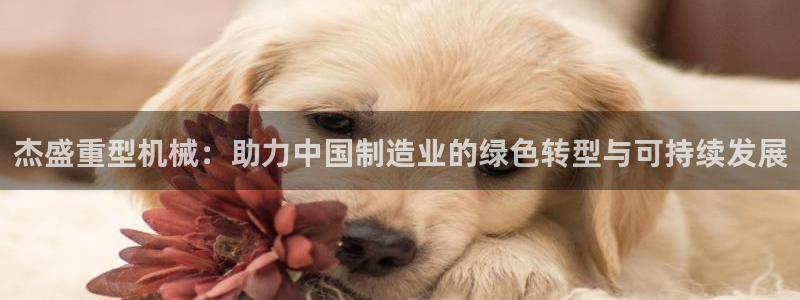 龙八国际代理