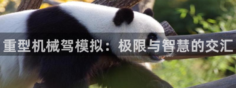 龙八国际是不是黑平台