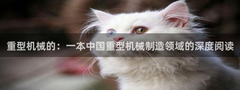 龙八国际首页