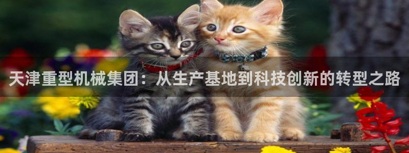 龙八国际网页版