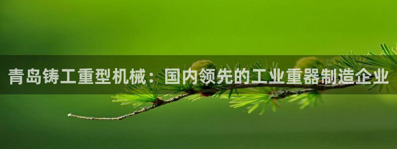 龙八国际技巧