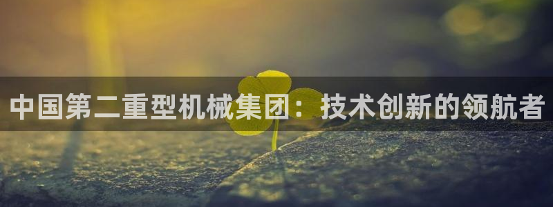 龙八国际登