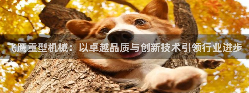 龙八国际娱乐下载