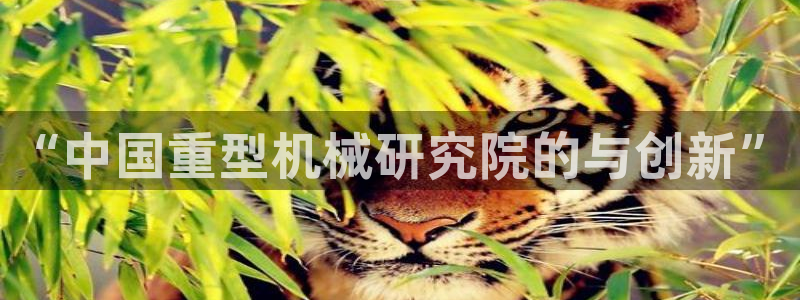 龙八国际手机版