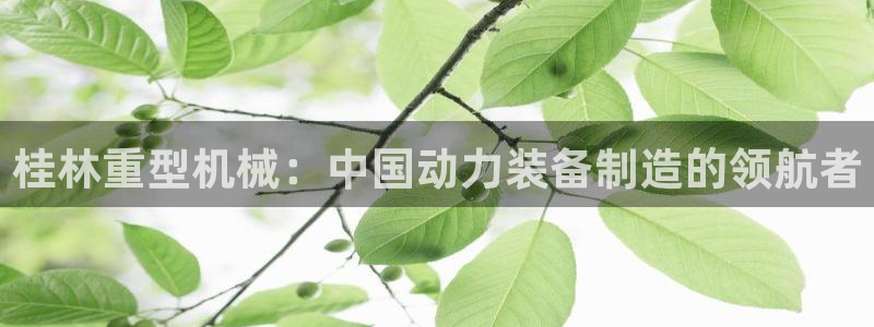 龙八国际服官网入口地址