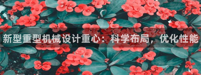 龙八国际娱乐 pt