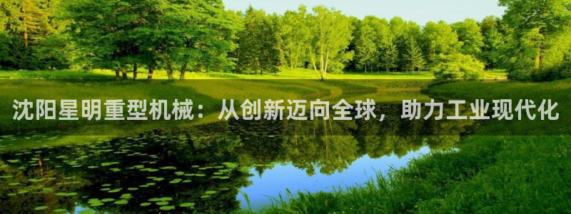 龙八国际软件下载