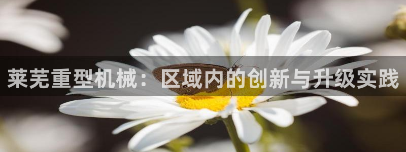 龙八国际怎么注册