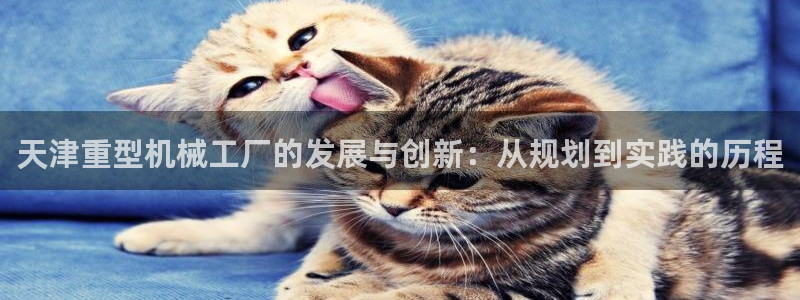 龙八国际可靠