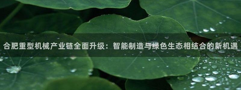 龙八国际棋牌