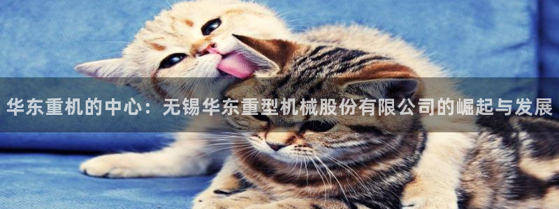 龙八国际Pt老虎机