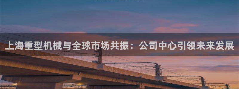 龙八国际公司是真是假