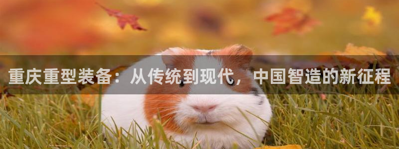 龙八国际官方手游