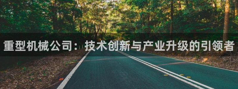 龙八国际官网