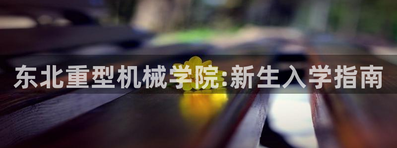 龙八国际下载链接安卓