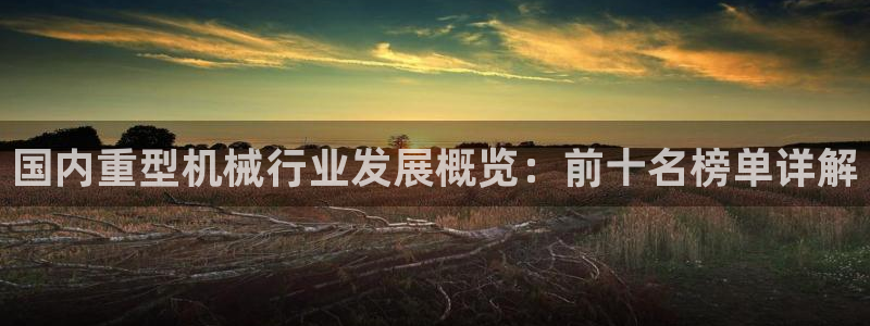 龙八国际游乐城