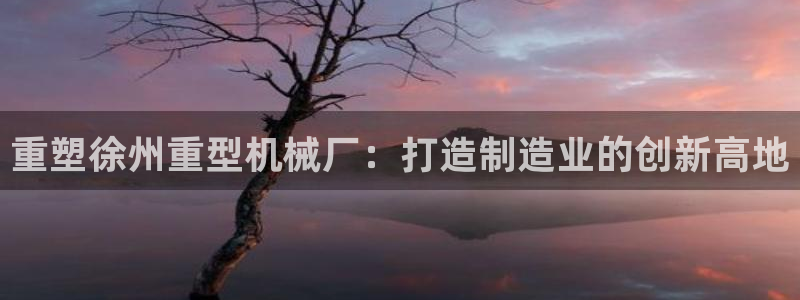 龙八国际下载链接安卓